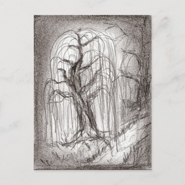 Postal Sauce que llora (Anverso)