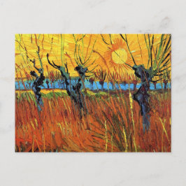 Postal Sauces de Vincent Van Gogh al atardecer Arte fino