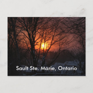 Postal Sault Ste Marie, Ontario Postcard