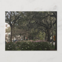Savannah Georgia
