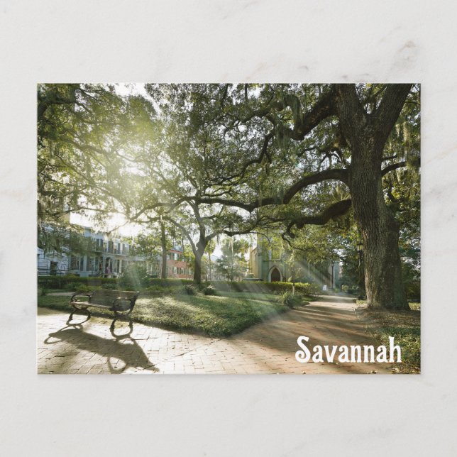 Postal Savannah Georgia Southern Live Oak Tree (Anverso)