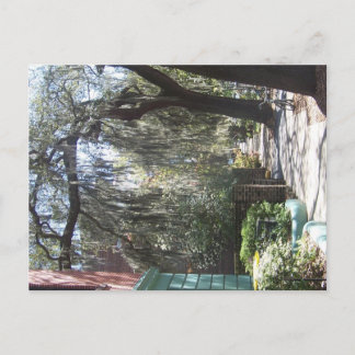 Postal Savannah Moss