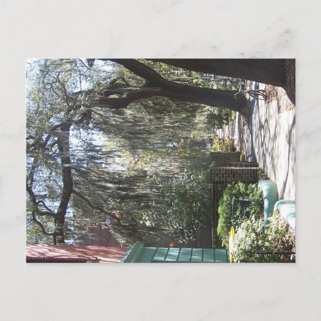 Postal Savannah Moss (Anverso)