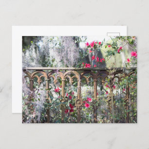 Postal Savannah Post Card Laurel Grove