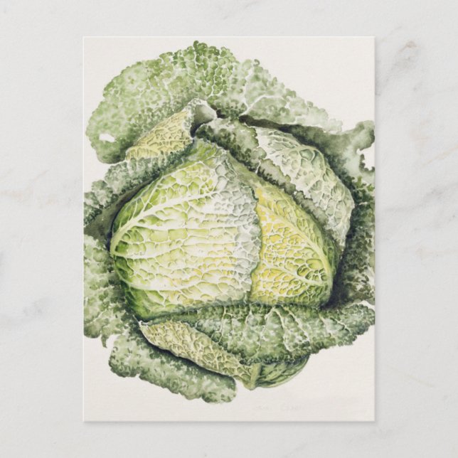 Postal Savoy Cabbage (Anverso)