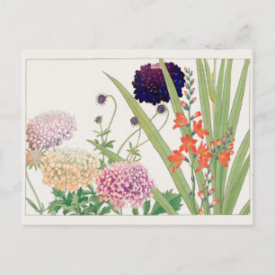 Postal Scabiosa, Montbretia, por Tanigami Konan