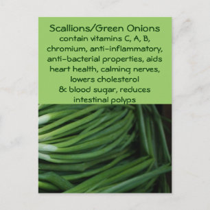 Postal Scallions/Green Onions