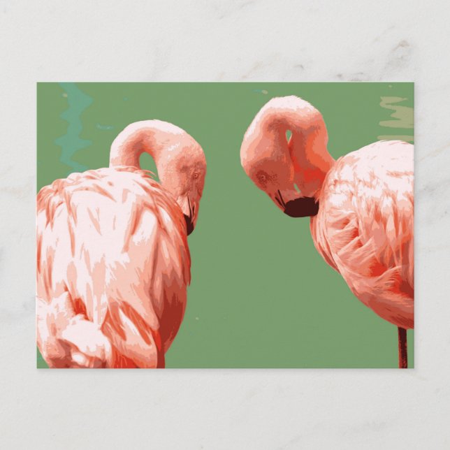 Postal Scarlet Flamingo (Anverso)