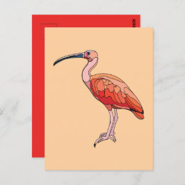 Postal Scarlet Ibis Bird