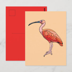 Postal Scarlet Ibis Bird