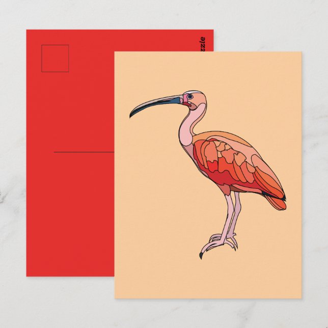 Postal Scarlet Ibis Bird (Anverso / Reverso)