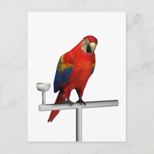 Postal Scarlet Macaw (Anverso)
