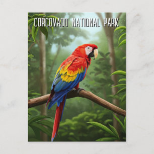 Postal Scarlet Macaw en el Parque Nacional Corcovado