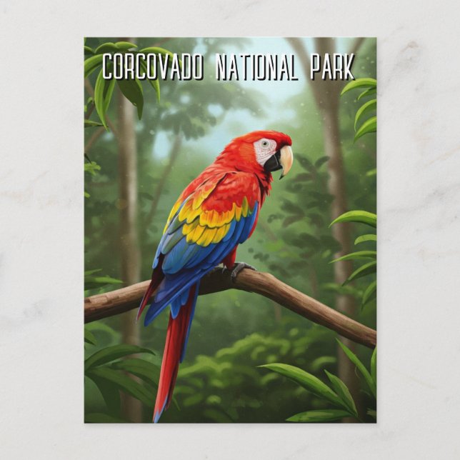 Postal Scarlet Macaw en el Parque Nacional Corcovado (Anverso)