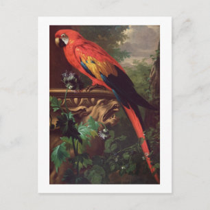 Postal Scarlet Macaw en un paisaje (aceite sobre lienzo)