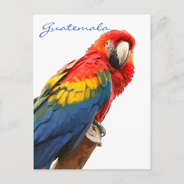 Postal Scarlet Macaw Guatemala Postcard (Anverso)