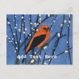 Postal Scarlet Tanager
