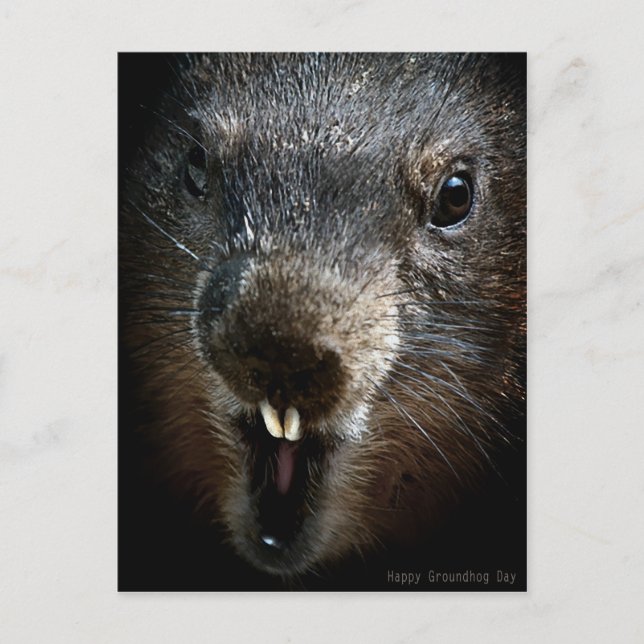 Postal Scary Groundhog Day (Anverso)