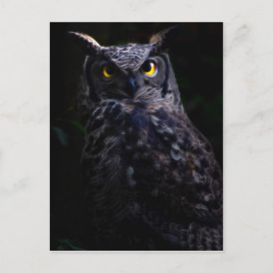 Postal Scary owl Halloween