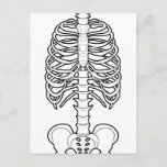 Postal Scary Skeleton Halloween<br><div class="desc">Ilustracion Skeleton. Estilo Halloween. Arte por José Ricardo</div>
