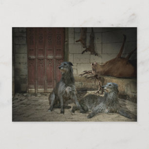 Postal Scène de chasse : le butin (parte. 3)