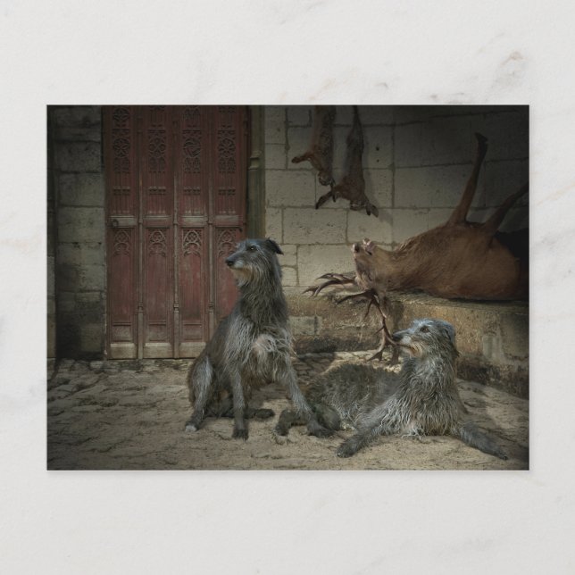 Postal Scène de chasse : le butin (parte. 3) (Anverso)