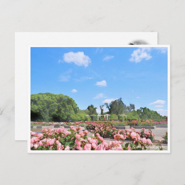 Postal Scenery of Rose Garden (Anverso / Reverso)