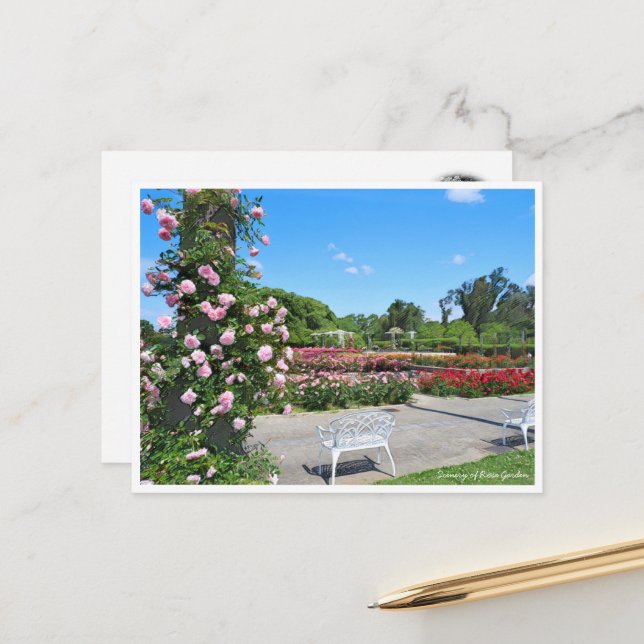 Postal Scenery of Rose Garden ポストカード (Anverso/Reverso In Situ)