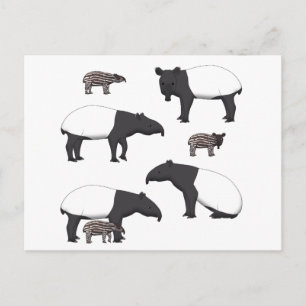 Postal Schabrackentapir selección