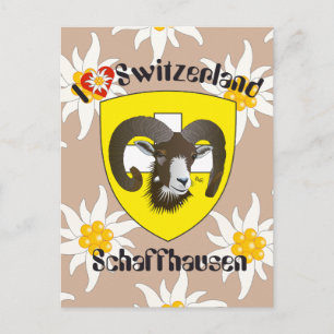 Postal Schaffhausen Schweiz Postkarte