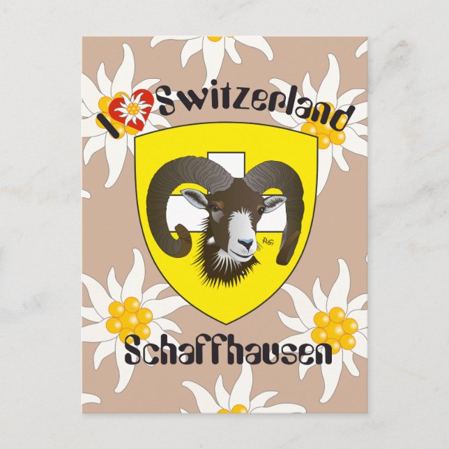 Postal Schaffhausen Schweiz Postkarte (Anverso)