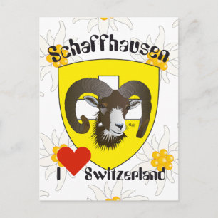 Postal Schaffhausen Schweiz Postkarte