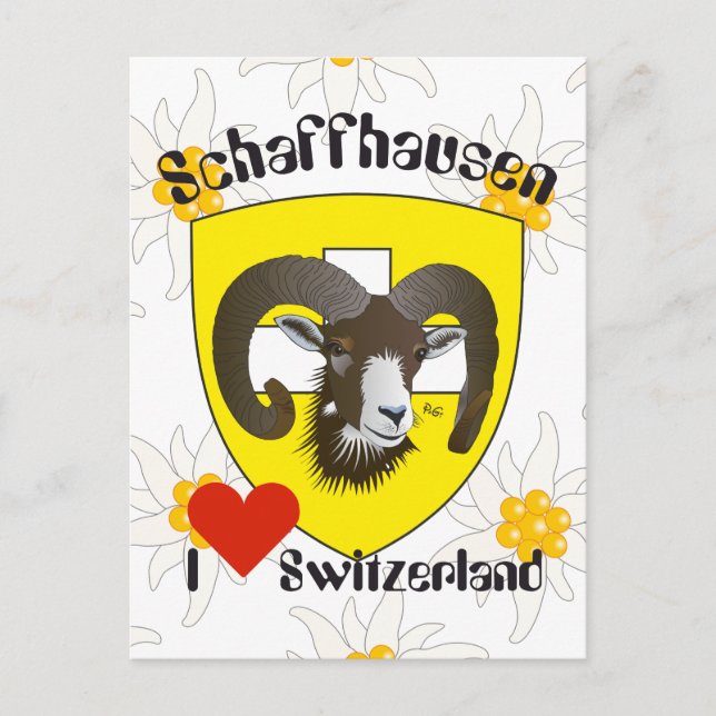 Postal Schaffhausen Schweiz Postkarte (Anverso)