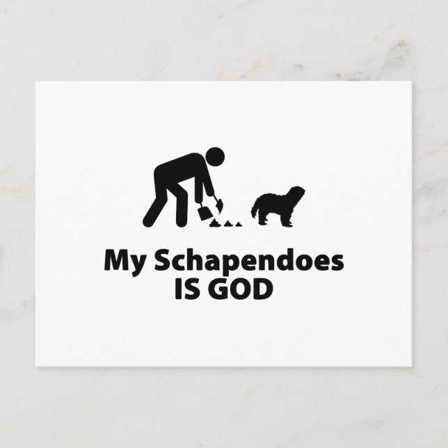 Postal Schapendoes (Anverso)