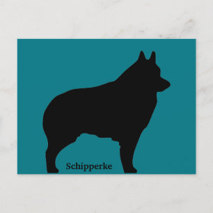 Postal Schipperke