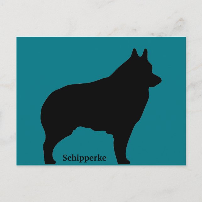 Postal Schipperke (Anverso)
