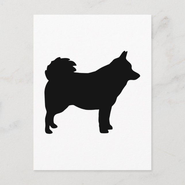 Postal Schipperke (Anverso)