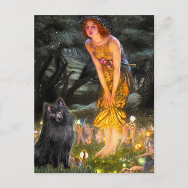 Postal Schipperke 2 - Medianoche (Anverso)