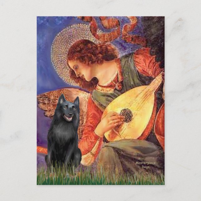 Postal Schipperke 5 - Ángel de la mandolina (Anverso)