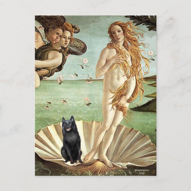 Postal Schipperke 5 - El nacimiento de Venus (Anverso)