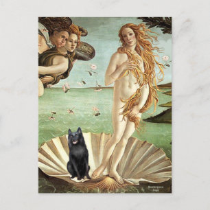 Postal Schipperke 5 - Nacimiento de Venus