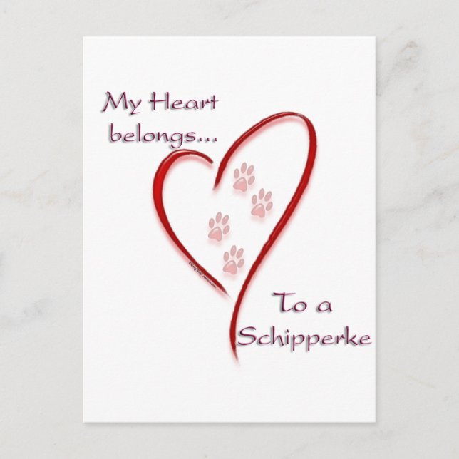 Postal Schipperke Heart Pertenece (Anverso)