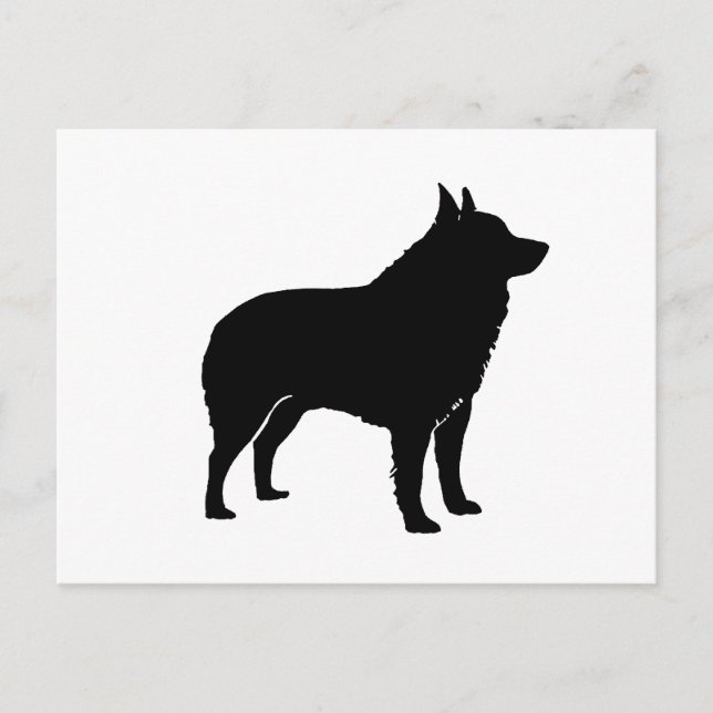 Postal Schipperke silhouette.png (Anverso)