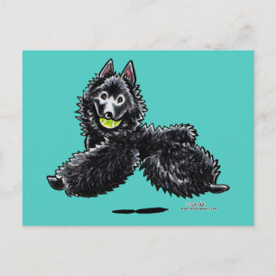Postal Schipperke Vamos A Jugar