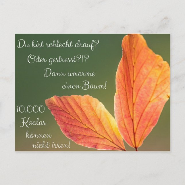 Postal ¿Schlecht drauf? ¡Gestresst! ¡Las máquinas limpian (Anverso)