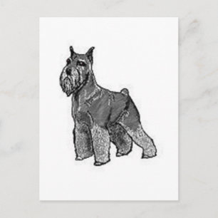Postal Schnauzer