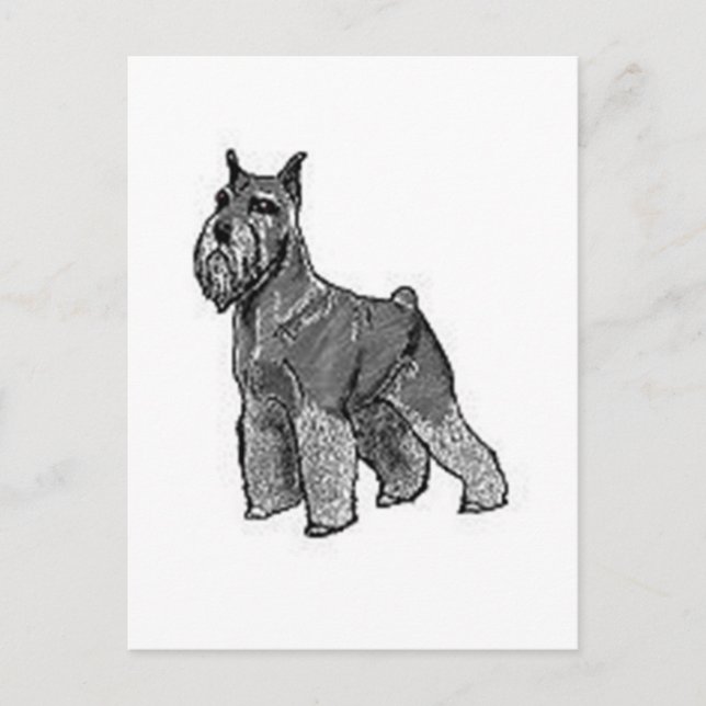 Postal Schnauzer (Anverso)