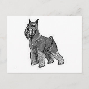 Postal Schnauzer