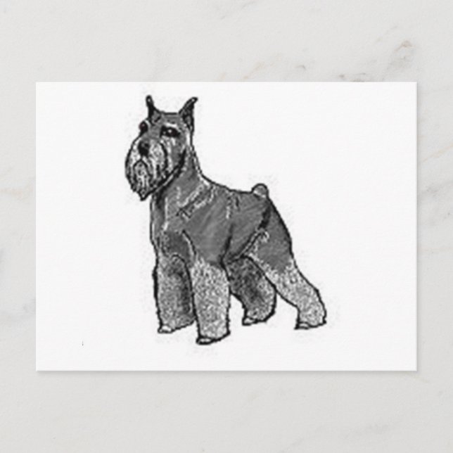 Postal Schnauzer (Anverso)