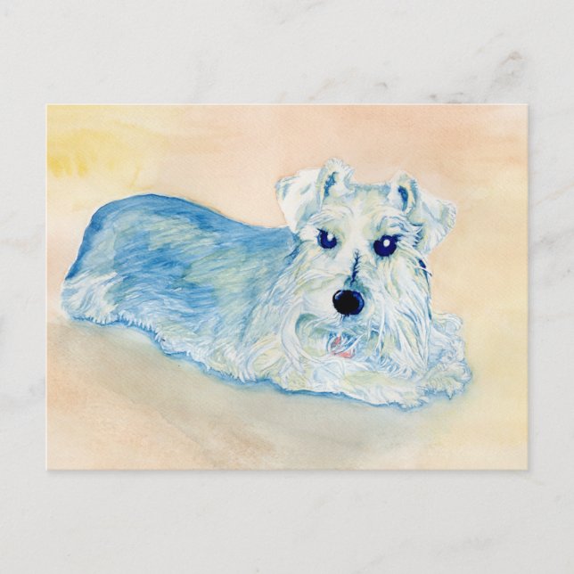 Postal Schnauzer Andy (Anverso)
